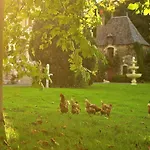 Bed & Breakfast Chateau Le Breil
