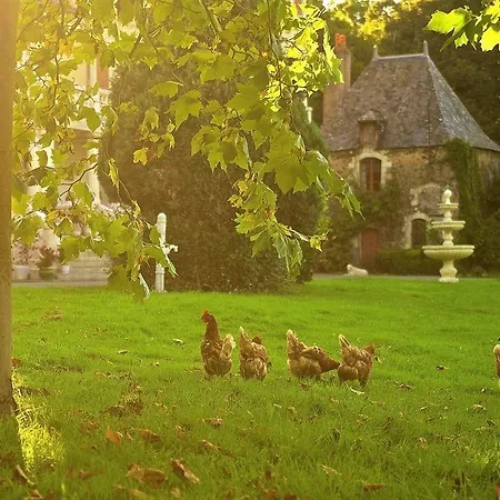 Bed & Breakfast Chateau Le Breil