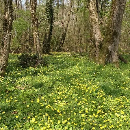 Chateau Le Breil ベッド・アンド・ブレックファスト 2*