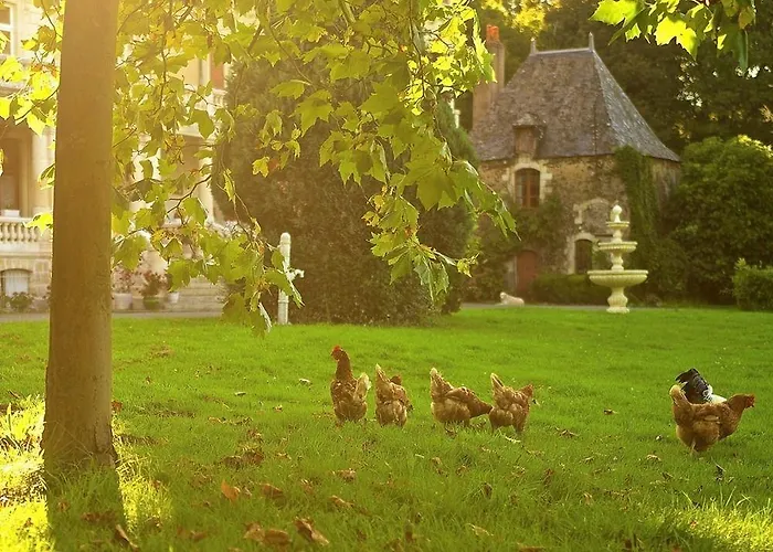 Bed & Breakfast Chateau Le Breil