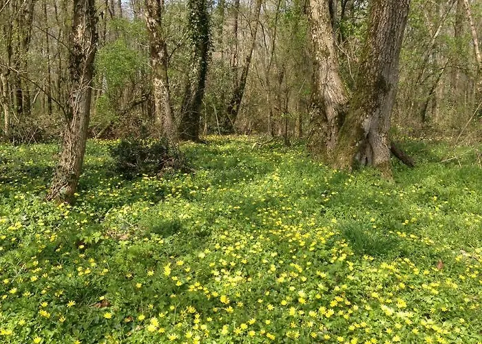 Chateau Le Breil Panzió 2*